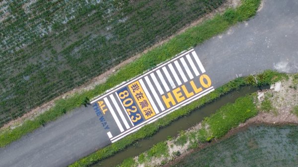 传金所 镜头下的诗画江南！长三角示范区摄影大赛，吴江的每一帧都是心动