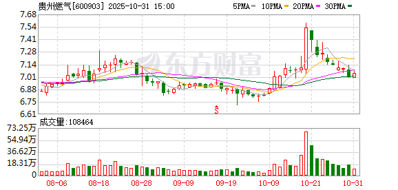 鑫月配 贵州燃气：财务总监辞职