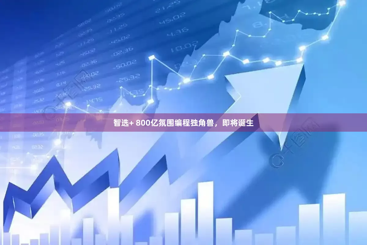 智选+ 800亿氛围编程独角兽，即将诞生